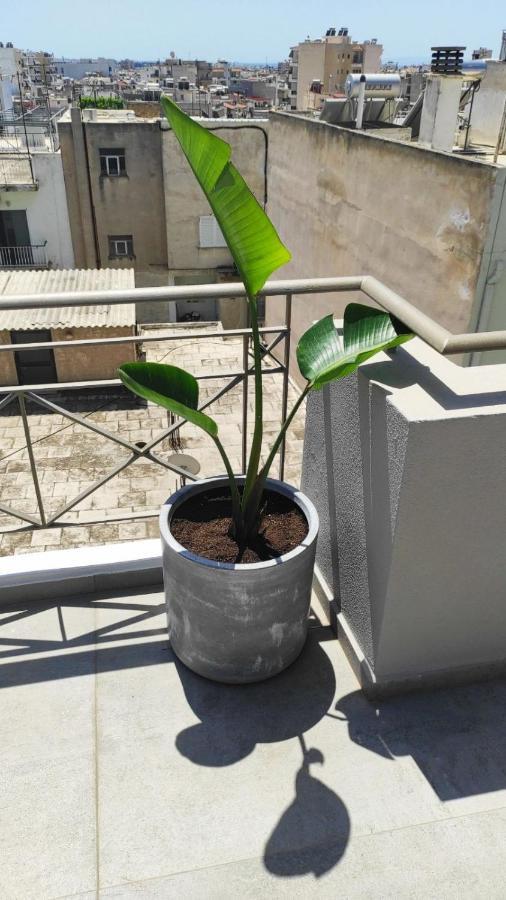 My Home In Greece Athènes Extérieur photo