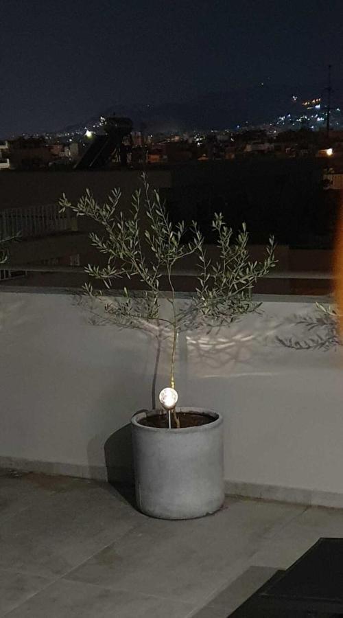 My Home In Greece Athènes Extérieur photo